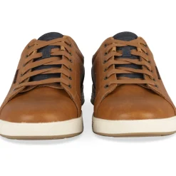 Baskets MARRON SKECHERS CAVELL