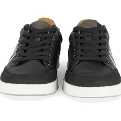 Baskets NOIR Homme Motif Uni Lacets