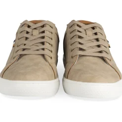 Baskets TAUPE Homme Motif Multicolore Lacets
