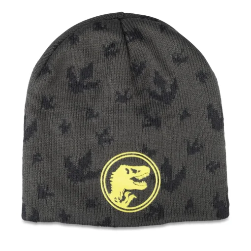 Bonnet GRIS Garçon