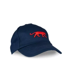 Casquette BLEU Homme