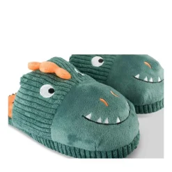 Chaussons Dinosaure VERT TAMS