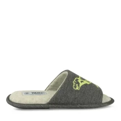 Chaussons GRIS Garçon Motif Dinosaure A Enfiler