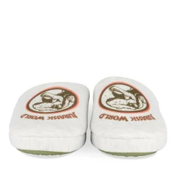 Chaussons GRIS Garçon Motif Dinosaure A Enfiler