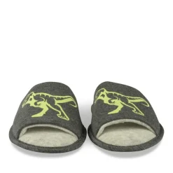 Chaussons GRIS Garçon Motif Dinosaure A Enfiler