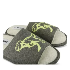 Chaussons GRIS Garçon Motif Dinosaure A Enfiler