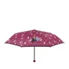 Parapluie ROSE Fille
