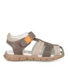 Sandales GRIS Garçon CUIR Scratch