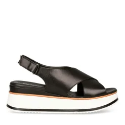 Sandales NOIR Femme CUIR