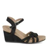 Sandales NOIR Femme Motif Uni Boucle