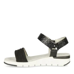 Sandales NOIR Femme Scratch