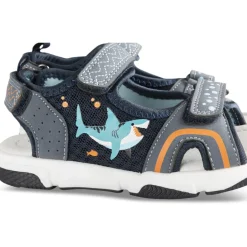 Sandales Sport BLEU Garçon Motif Animal Scratch