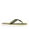 Tongs Plage KAKI Homme